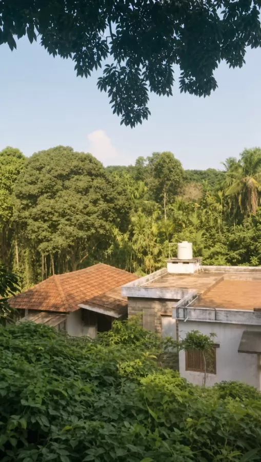 8.75 Acre Agricultural Farm with Farm House for Sale in Belthangady | Arecanut, Rubber & Coconut Plantation | ₹2.70 Crore