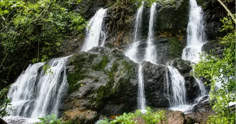 Adyar Falls, Mangaluru: A Hidden Monsoon Escape Near the City