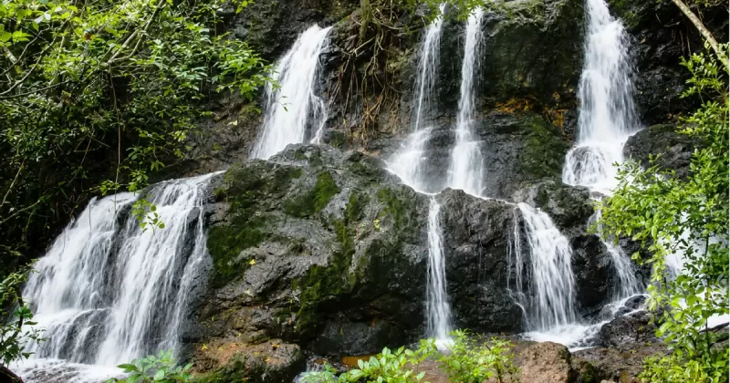 Adyar Falls Mangaluru during monsoon near Valachil