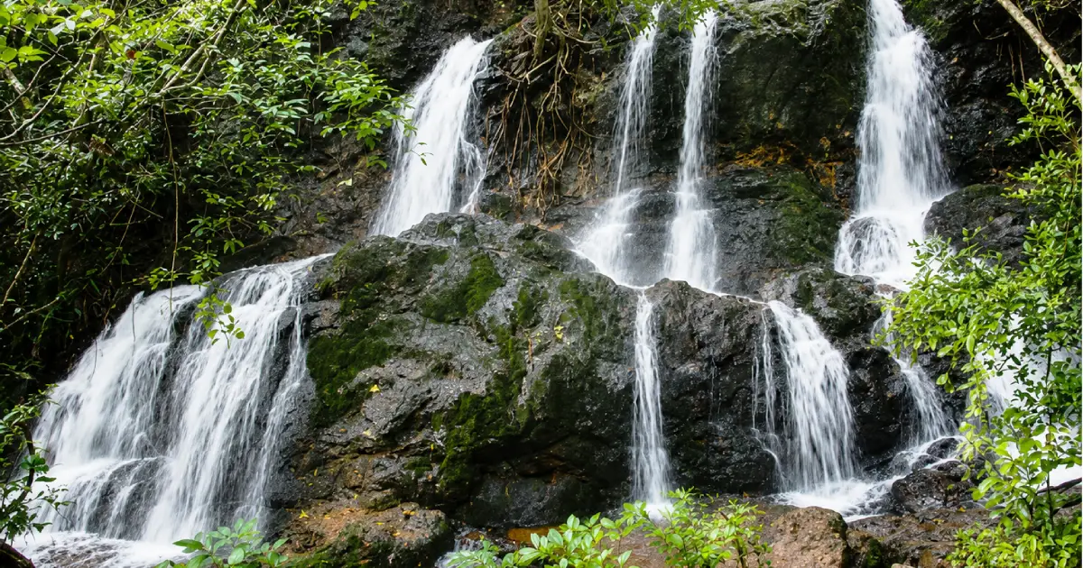 Adyar Falls Mangaluru during monsoon near Valachil