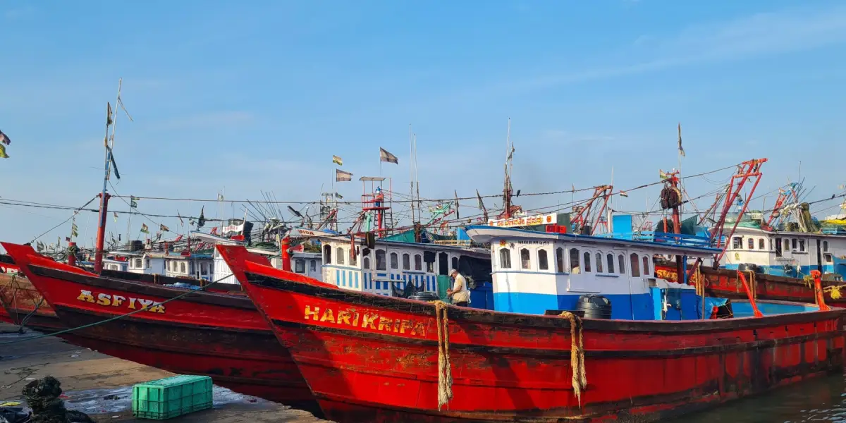 The People Who Start Mangaluru's Fish Market Before the City Wakes Up